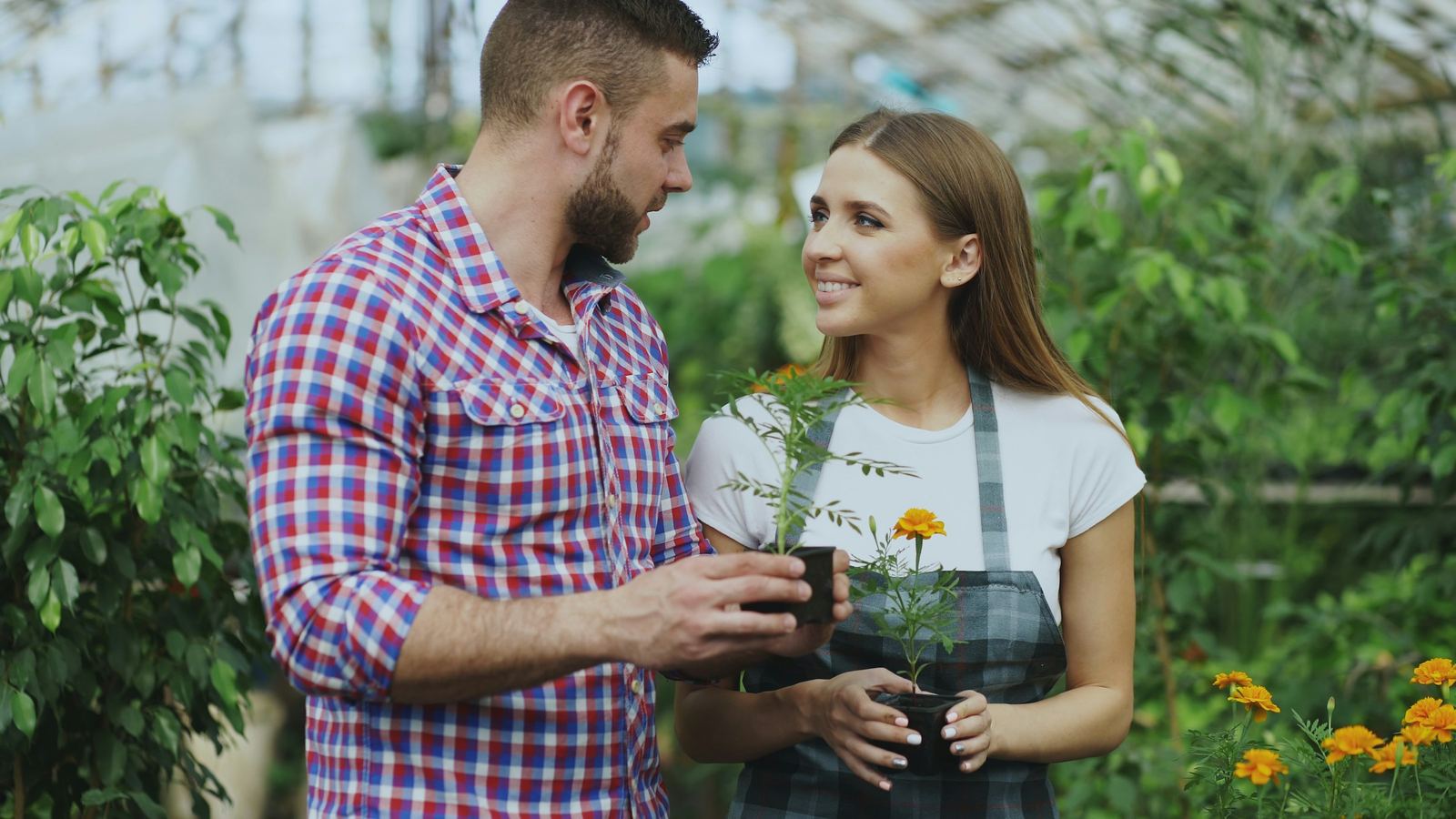 A garden-centre owner helping a customer